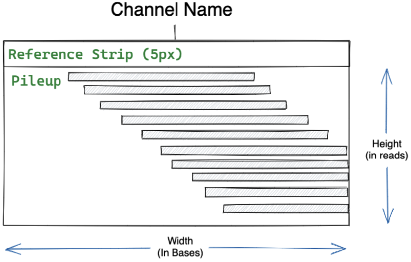 Examples of DeepVariant Channels