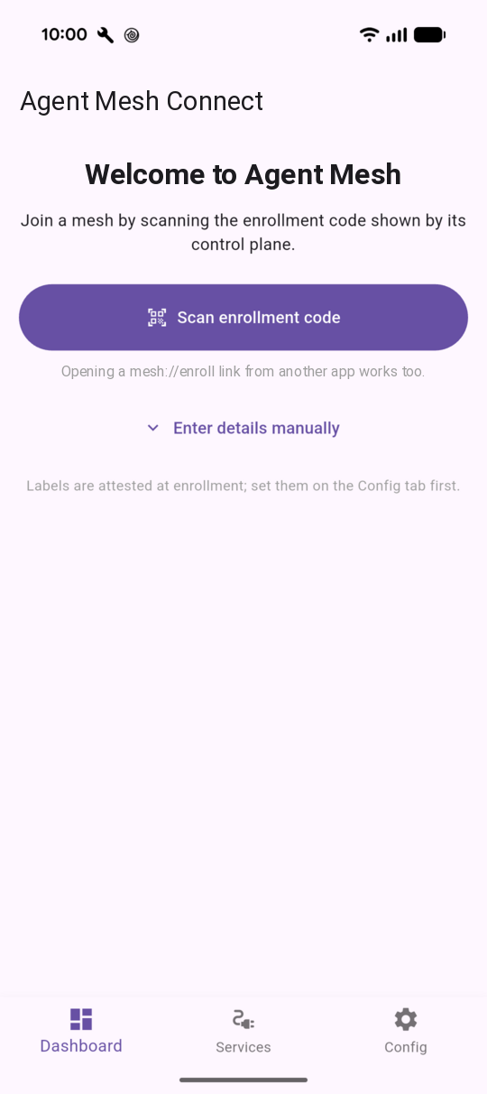 Agent Mesh Connect welcome screen with Scan enrollment code and Enter details manually buttons