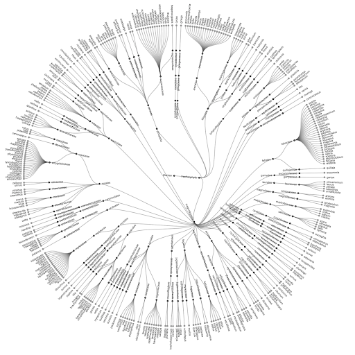 taxonomy