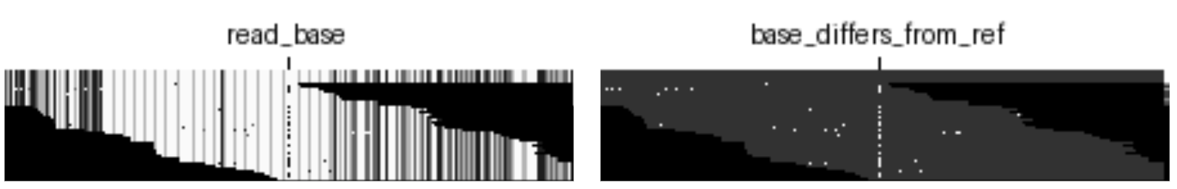 Figure 14(a): An example of an insertion illustrates how DeepVariant collapses the alternate alleles to their first base only