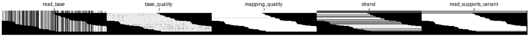 Figure 2(a): A pileup image with the base_differs_from_ref channel ablated