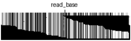 Figure 2(b): A single channel pileup image, showing only read_base information