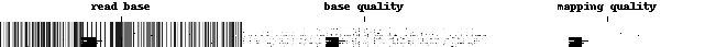 Examples of DeepVariant Channels