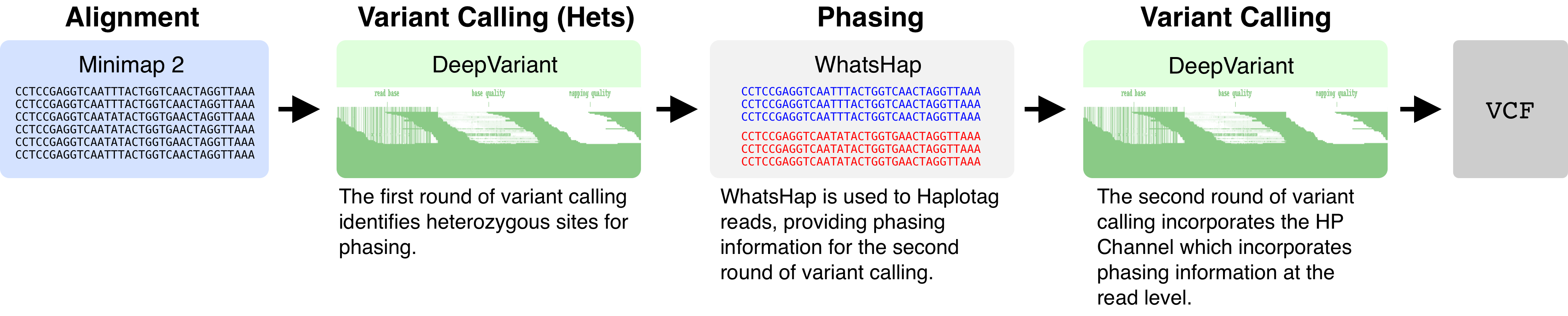 DeepVariant CCS Workflow