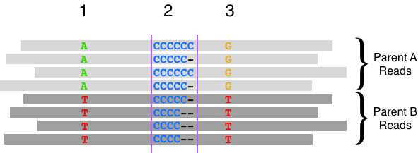 Pileup Example CCS