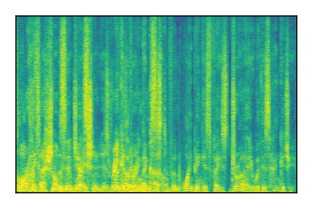 An audio spectrogram.