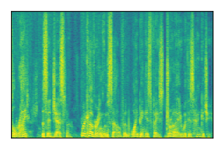 An audio spectrogram.