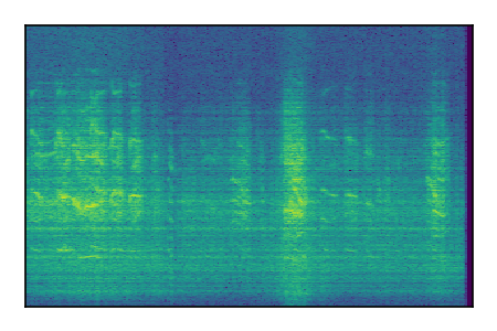 An audio spectrogram.
