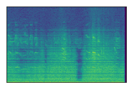 An audio spectrogram.