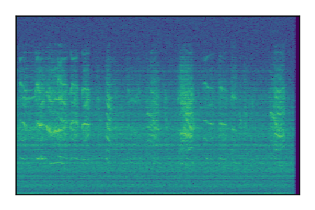 An audio spectrogram.