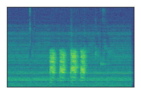 An audio spectrogram.