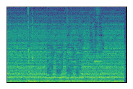An audio spectrogram.