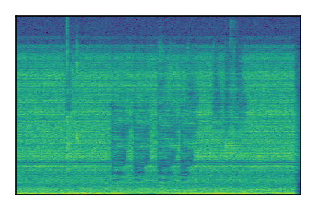 An audio spectrogram.