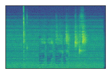 An audio spectrogram.