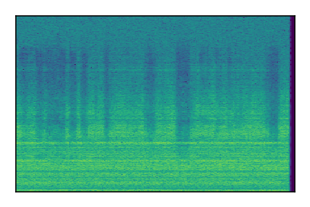 An audio spectrogram.
