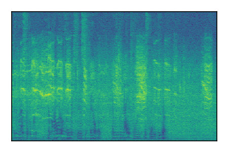 An audio spectrogram.