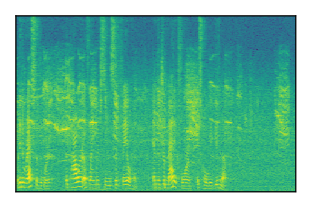 An audio spectrogram.