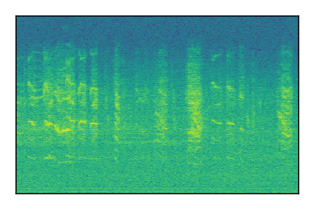 An audio spectrogram.