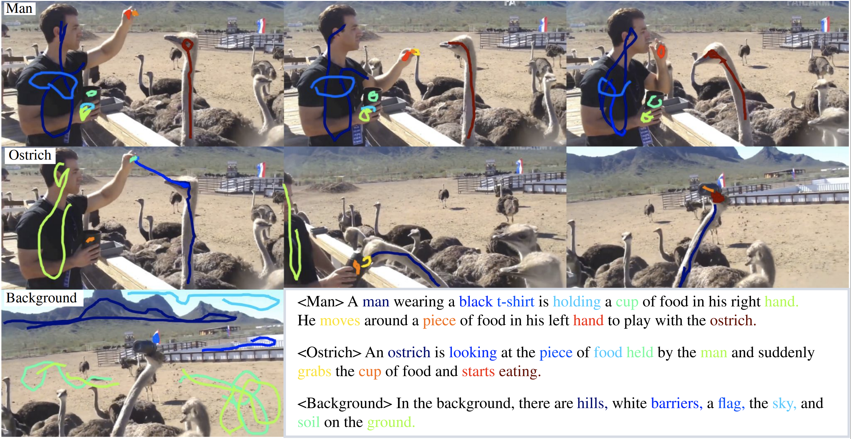 A video localized narrative annotation example